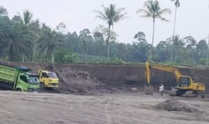 IMG-20250131-WA0003